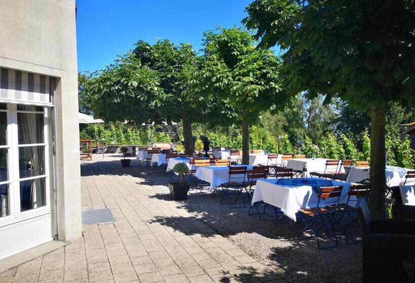 בית מלון כפרי Schloss Romanshorn