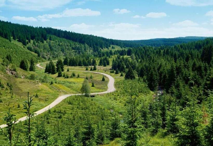 Отель Schwarzbeerschanke Pobershau