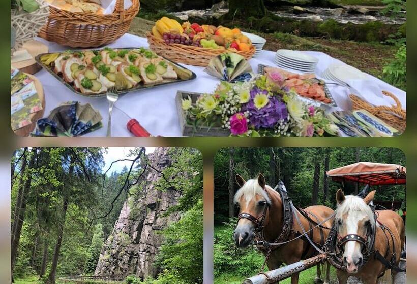 Отель Schwarzbeerschanke Pobershau