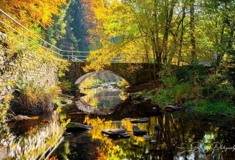 Отель Schwarzbeerschanke Pobershau