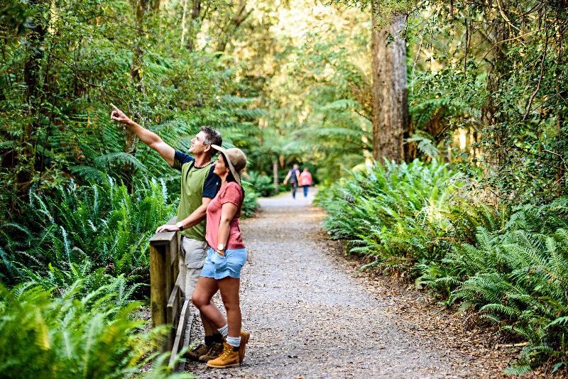 בית מלון כפרי Strahan Village
