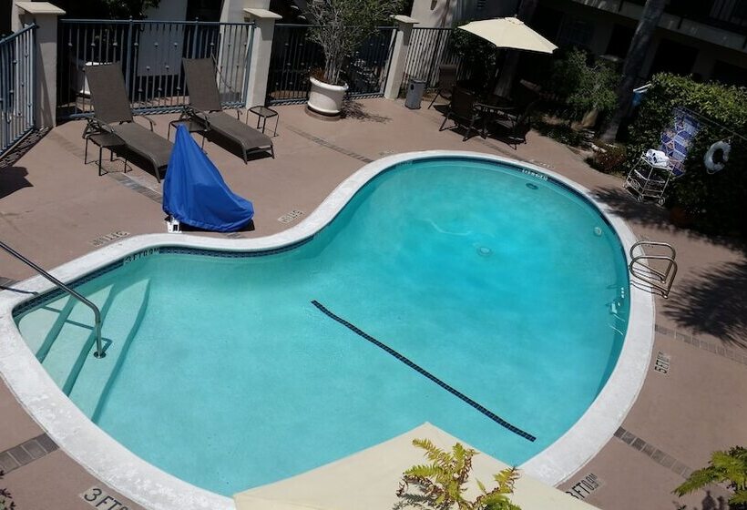 Отель Tarzana Inn