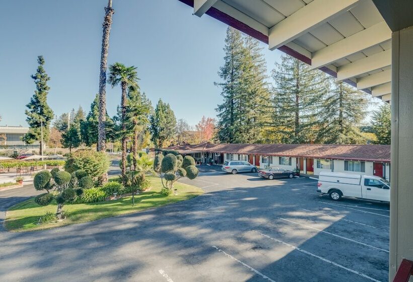 酒店 The Palo Alto Inn