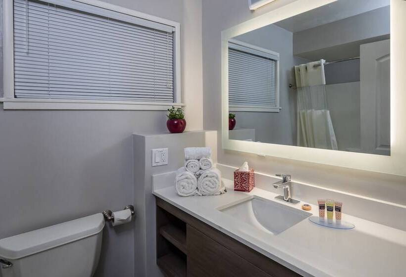 酒店 The Palo Alto Inn