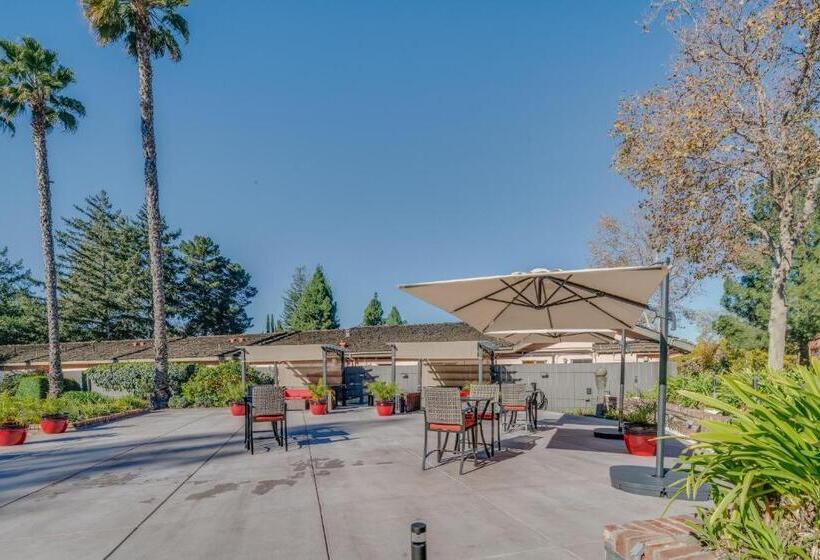 酒店 The Palo Alto Inn