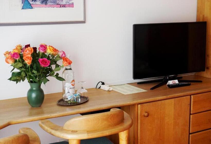 Typically Swiss Hotel Altana