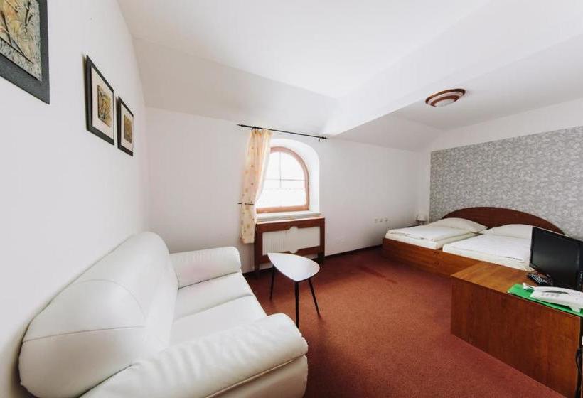 호텔 Wellness  Vyhlidka