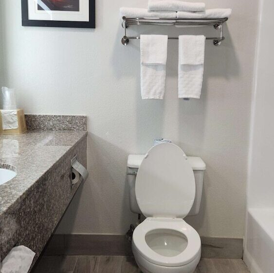 מוטל Americas Best Value Inn & Suites Foley