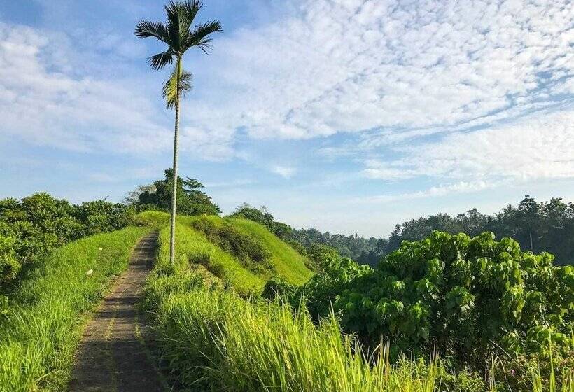 Pita Maha Resort & Spa