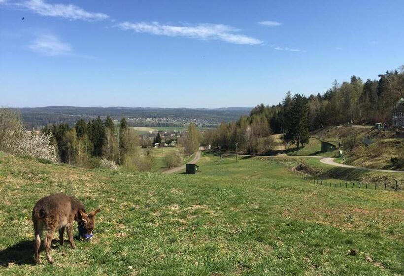 Retro Hotel Pod Zvičinou