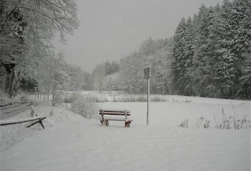 Waldhotel Linzmühle