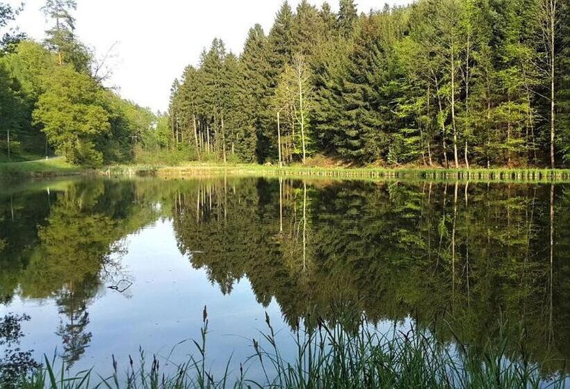 Waldhotel Linzmühle