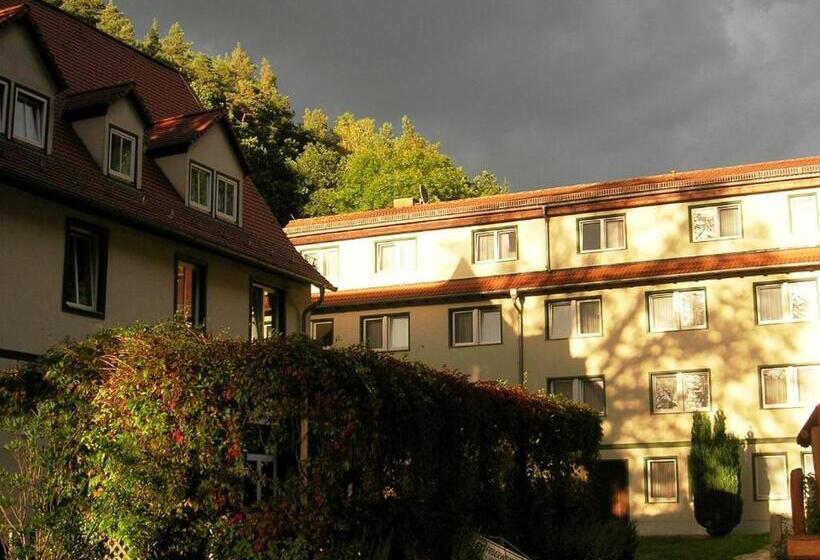 Waldhotel Linzmühle