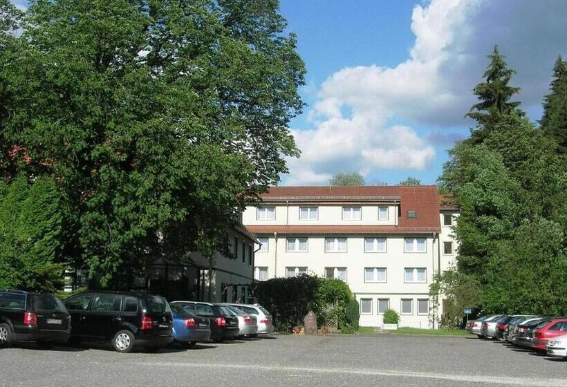 Waldhotel Linzmühle