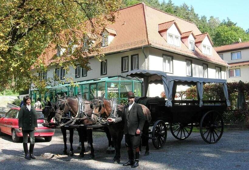 Waldhotel Linzmühle