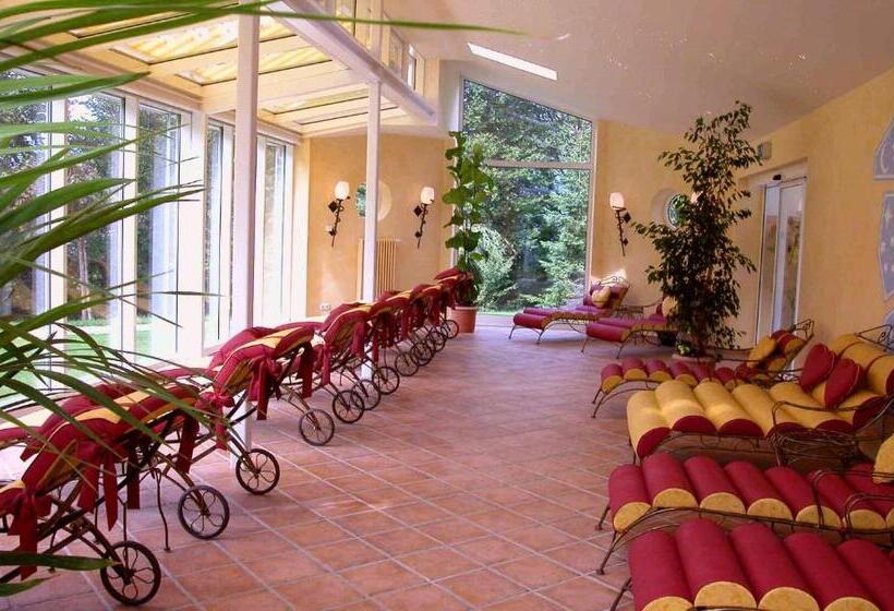 Alm  & Wellnesshotel Alpenhof