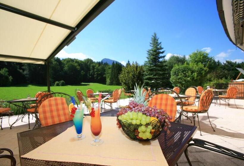 Alm  & Wellnesshotel Alpenhof