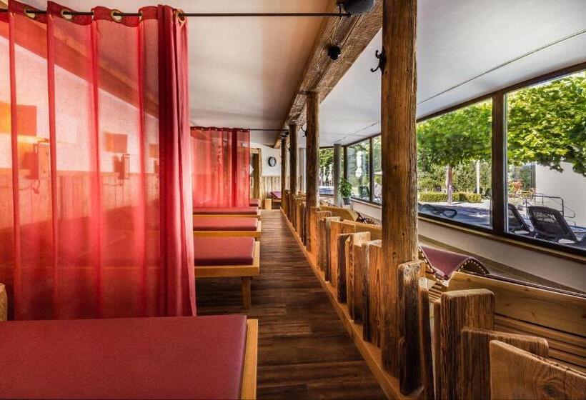 Alm  & Wellnesshotel Alpenhof