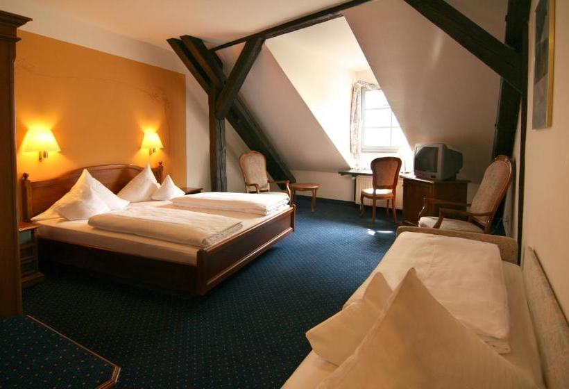 酒店 Altstadt Arch