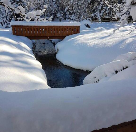 فندق Alpenhof Grainau