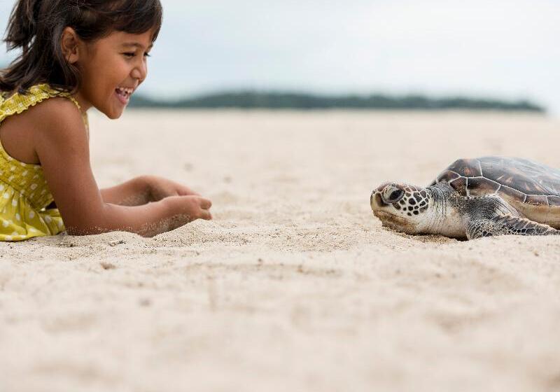 호텔 Angsana Laguna Phuket