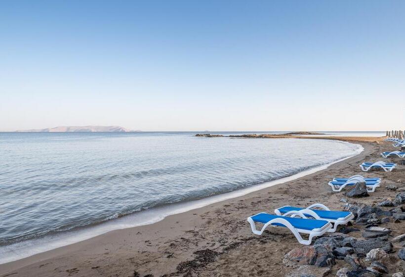 酒店 Arina Beach Resort