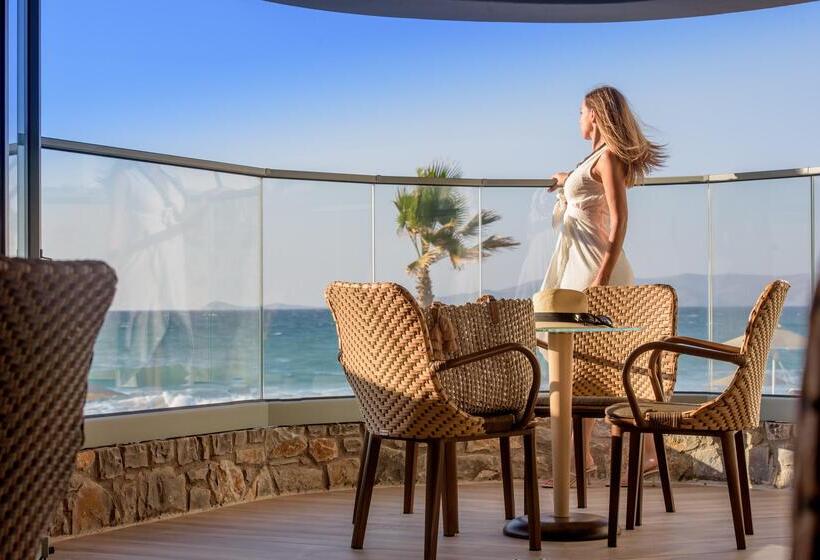 酒店 Arina Beach Resort