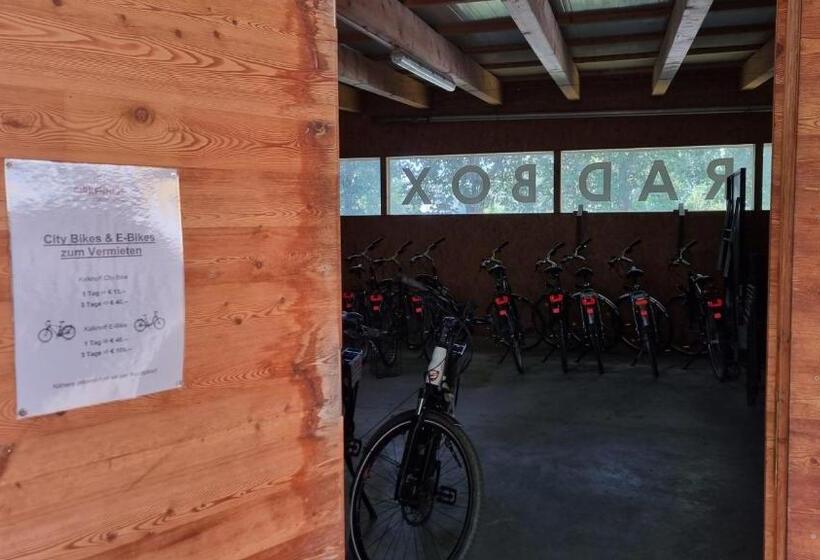 Birkenhof Gols   B & B   Wohlfühl Hotel Mit Wochenend Restaurant