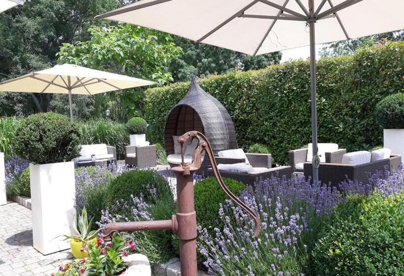 Birkenhof Gols   B & B   Wohlfühl Hotel Mit Wochenend Restaurant