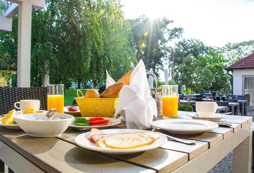 Birkenhof Gols   B & B   Wohlfühl Hotel Mit Wochenend Restaurant