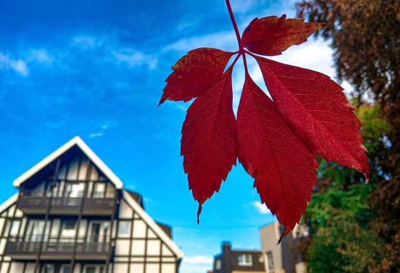 ホテル Braunschweiger Hof