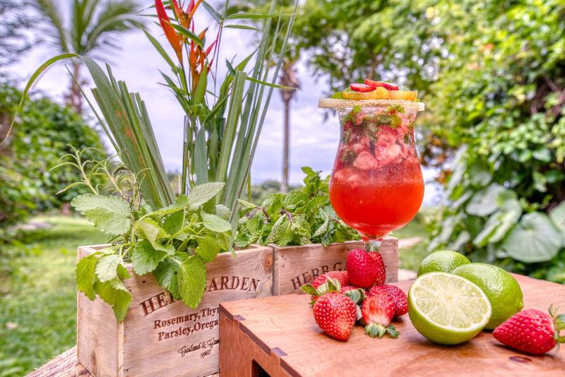 فندق Buena Vista Chic