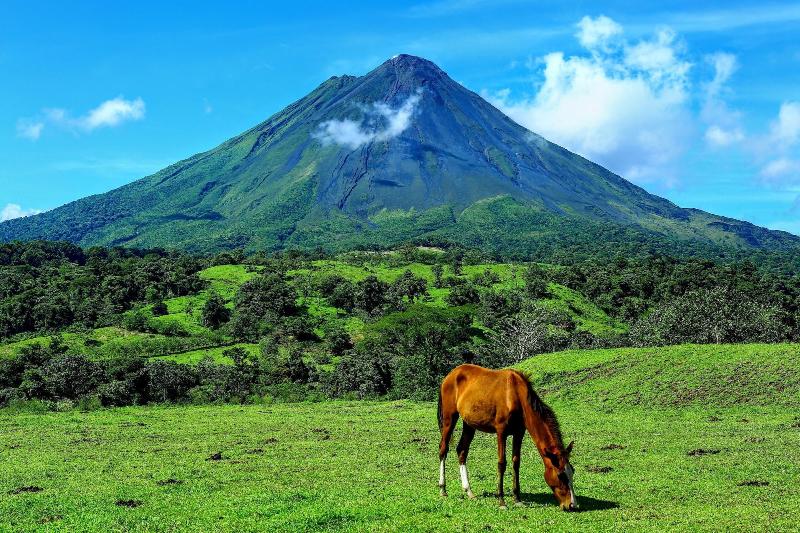 فندق Buena Vista Chic