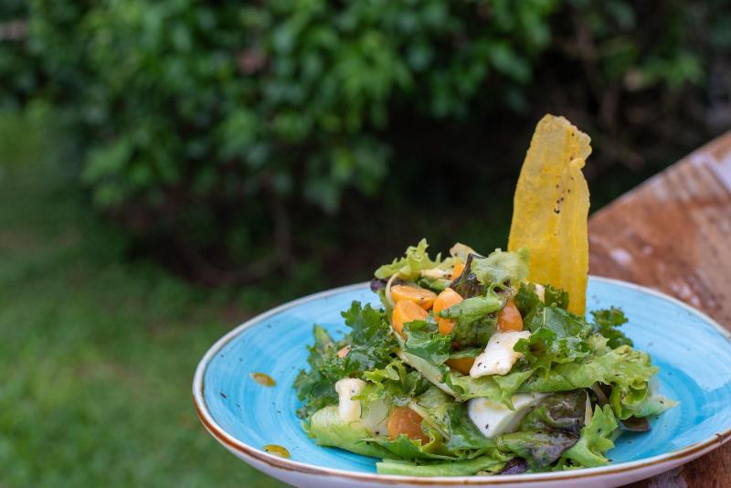 فندق Buena Vista Chic