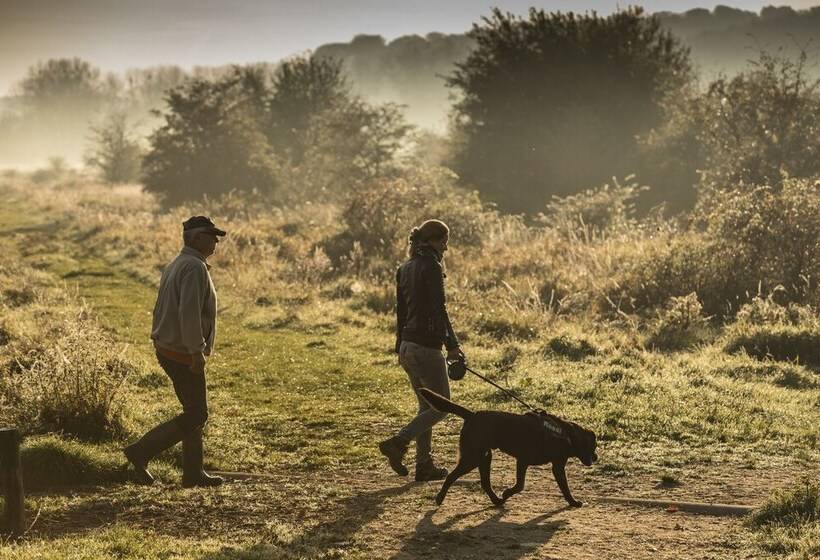 هتل Château St Gerlach   Oostwegel Collection, Member Of Relais And Châteaux