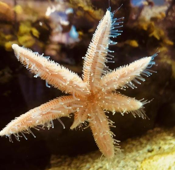 فندق Derrynane  & Holiday Homes