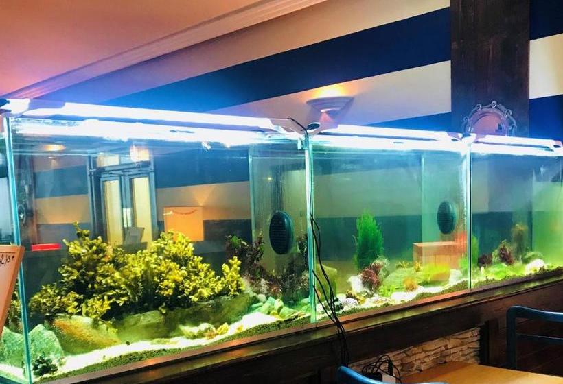 בית מלון כפרי Derrynane  & Holiday Homes