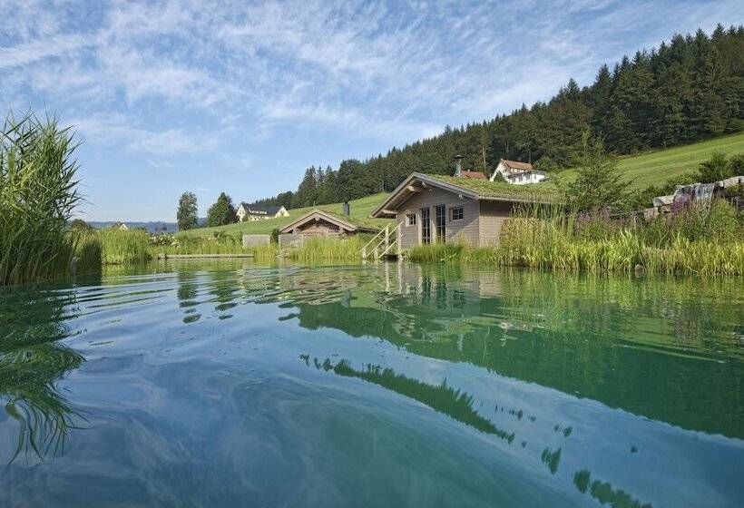 Отель Wellness & Genuss Resort Engel Obertal