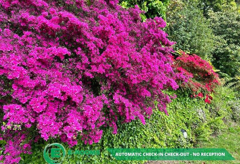 Отель Erooms Minusio