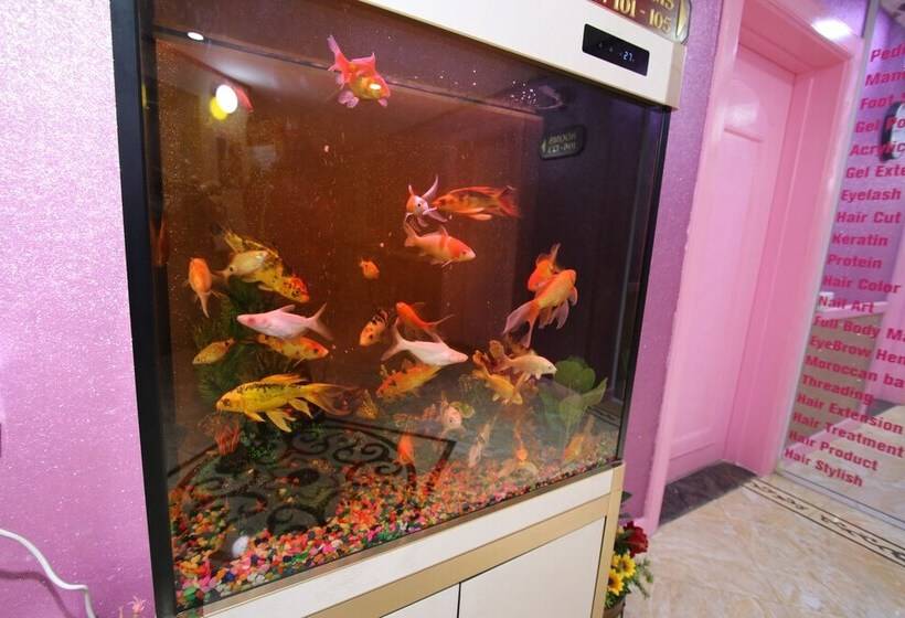 هتل Knight Armour