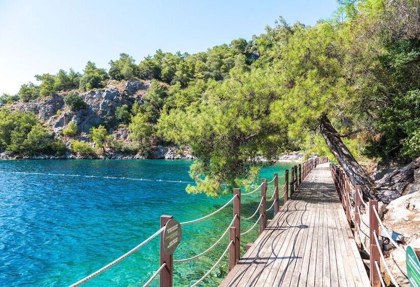 Отель Hillside Beach Club