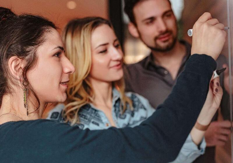 Ibis Hotel Hamburg Alster Centrum