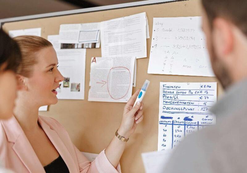 Ibis Hotel Hamburg Alster Centrum