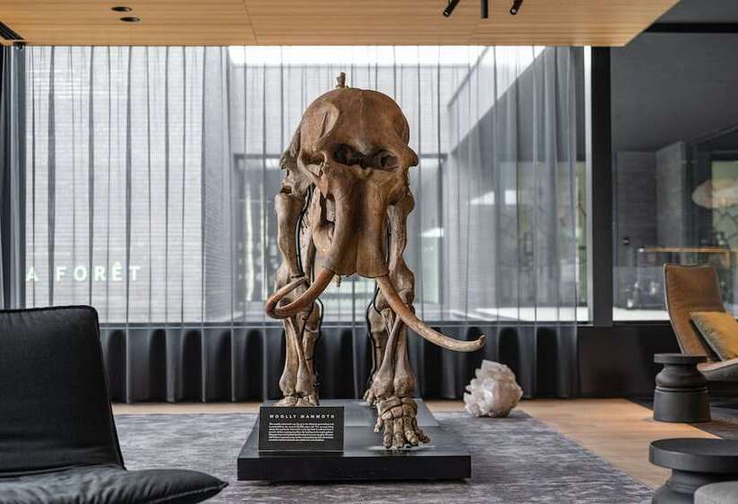 هتل La Butte Aux Bois