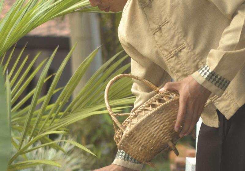 酒店 La Résidence Phou Vao