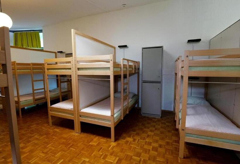 בית מלון כפרי Luzern Youth Hostel