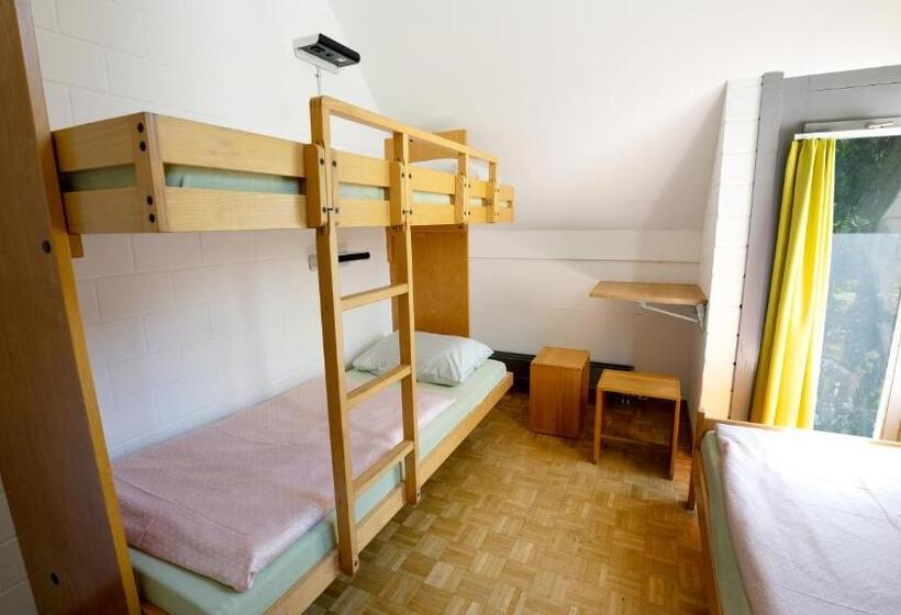 בית מלון כפרי Luzern Youth Hostel