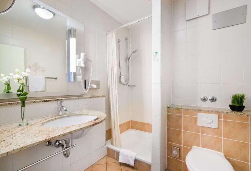 בית מלון כפרי Rega