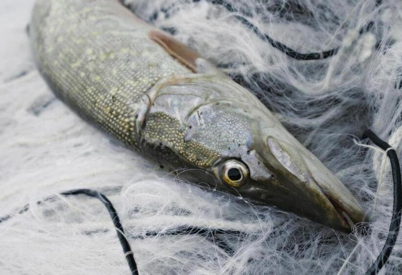 酒店 & Restaurant Rössli