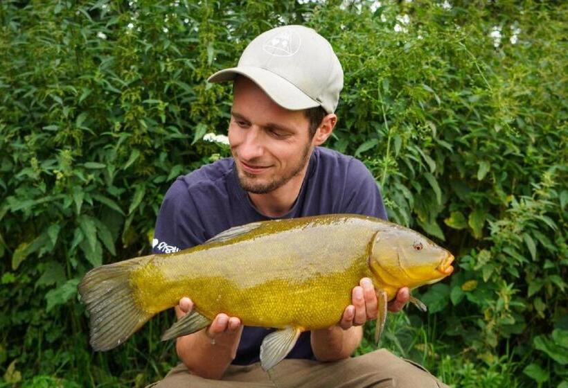 فندق Köhlers Forsthaus Wellness & Genuss